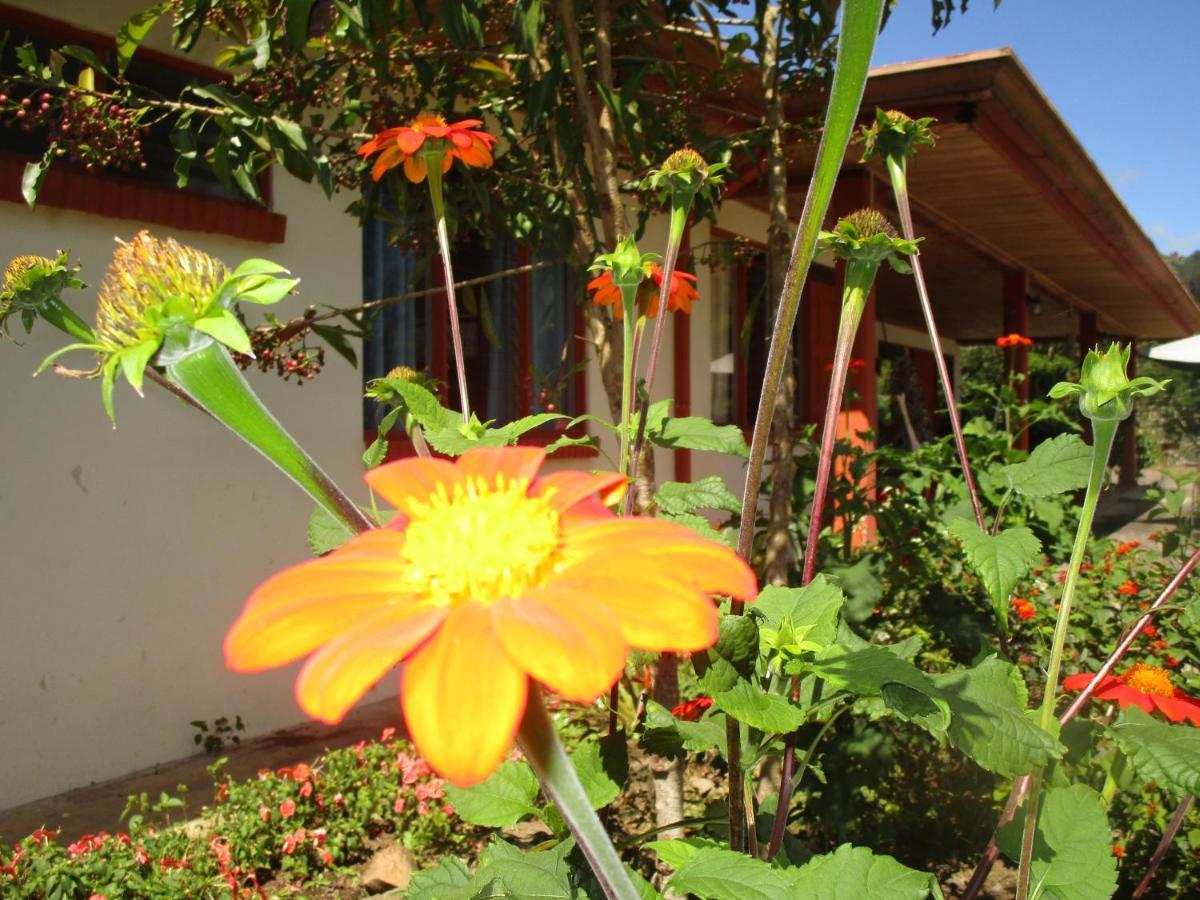Casa Aquiares Lodge Posada Rural Turrialba Exterior photo